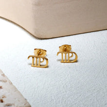 Carregar imagem no visualizador da galeria, Brincos TTPD
